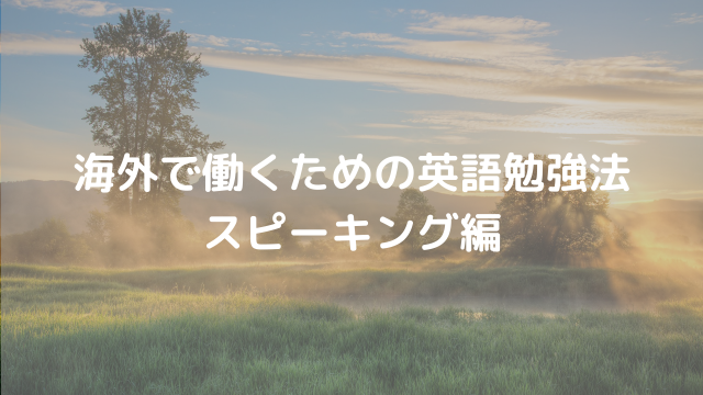 海外駐在を実現するために必要なたった3つのこと ぽこぺんブログ